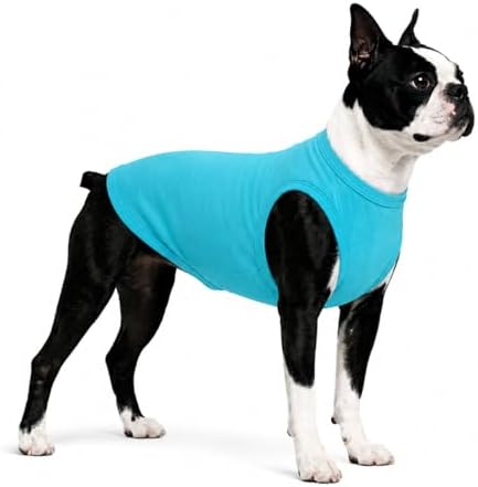 Pet Clothes Dog Clothing Blank T-Shirt Tanks Top Vests for Small Middle Large Size Dogs 100% Cotton Dog Summer Vest Classic (L, Turquoise) by lovelonglong