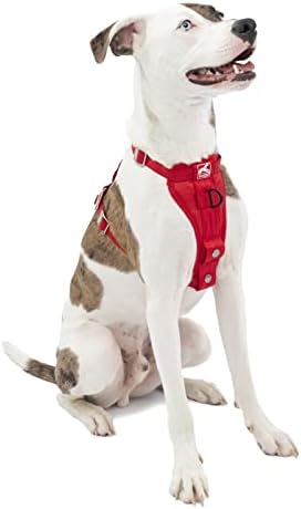 Kurgo Enhanced Strength Tru-Fit Dog Car Harness - Crash Tested for Safety - Broad Chest Plate - All Steel Nested Buckles - Includes Seatbelt Tether - Red - Medium by Kurgo