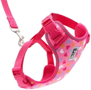 RC Pets Adventure Kitty Cat Harness | Adjustable Airmesh Vest with D-Ring and 6ft Leash for Walking and Travel | Lil Heart, Small by RCPets