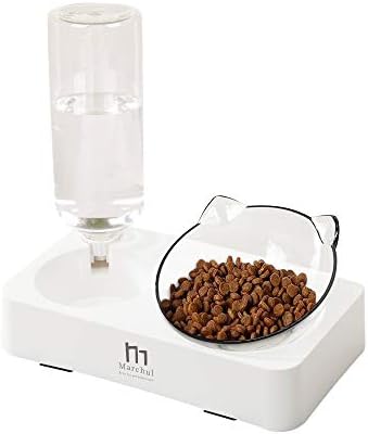Marchul Double Elevated Dog Cat Bowl, Pets Water and Food Bowl Set, 15° Raised Tilted Dishes Indoor for Kitten, Puppies, Small or Medium Size Dogs Cats by Marchul