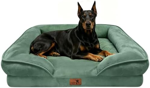 Spotted Play Orthopedic Dog Bed with Sides - Sofa Beds for Extra Large Dogs, Supportive Foam Pet Couch Bed with Washable Removable Cover, Waterproof Lining and Non-Slip Bottom, Green - XL-Plus by Spotted+Play