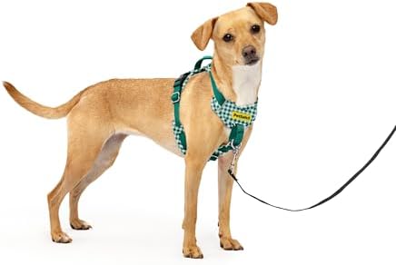 PetSafe Easy Walk Comfort No Pull Dog Harness, Green Gringham, Extra Small by PetSafe