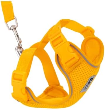 RC Pets Adventure Kitty Cat Harness | Adjustable Airmesh Vest with D-Ring and 6ft Leash for Walking and Travel | Marigold, Small by RCPets