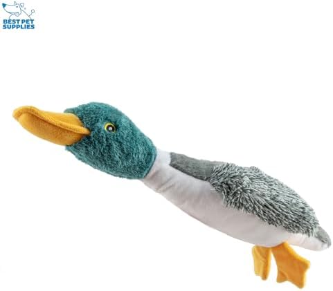 Best Pet Supplies Interactive Squeaky Dog Chew Toy, Ideal Dog Toys for Chewers, Small, Medium & Large Dogs, and Fetch Lovers - Duck (Mystery Box), Large - Image 4