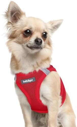 rabbitgoo Step-in Small Dog Harness, Puppy Vest for Small Sized Pet by rabbitgoo