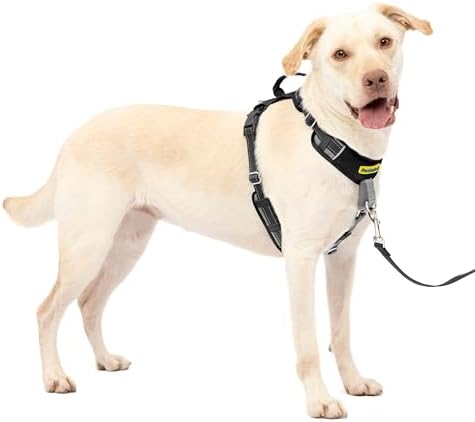 PetSafe Easy Walk Comfort No Pull Dog Harness, Black, Large by PetSafe