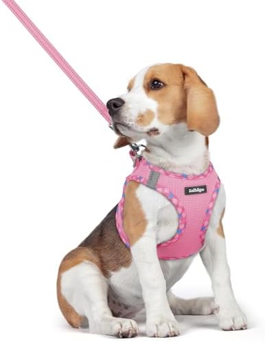 rabbitgoo Dog Harness Medium Sized and Leash Set, Step-in Puppy Pet Vest by rabbitgoo