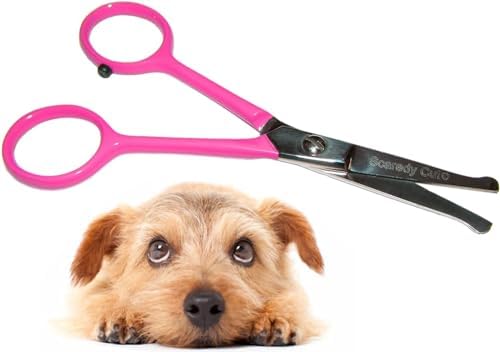 Tiny Trim 4.5" Ball-Tipped Scissor for Dog, Cat and all Pet Grooming - Ear, Nose, Face & Paw - Scaredy Cut's small Safety Scissor by ScaredyCut