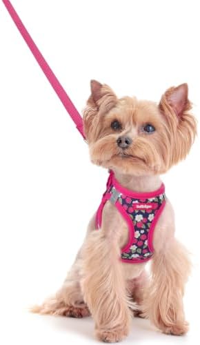 rabbitgoo Dog Harness Small Sized and Leash Set, Step-in Puppy Pet Vest by rabbitgoo