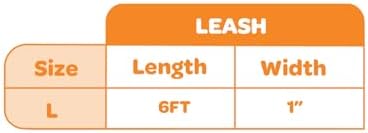Best Pet Supplies Voyager Nylon Dog Leash - 6ft Lime Green, Large - Image 4