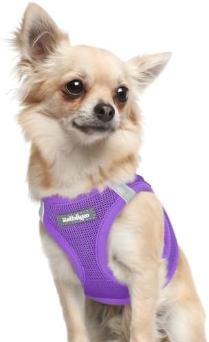 rabbitgoo Step-in Small Dog Harness, Puppy Vest for Small Sized Pet by rabbitgoo