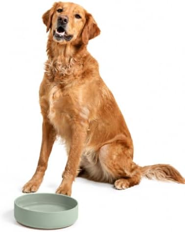The Perfect Dish - Silicone Dog Bowl for Food & Water, 9.5" x 2.5"- Sage by ShouldWeGo