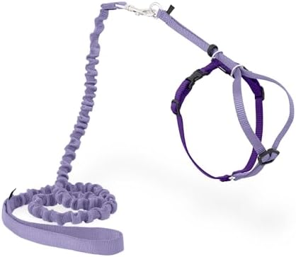 PetSafe Come With Me Kitty Harness and Bungee Cat Leash, Medium, LILAC/BRIGHT PURPLE, Model:CWMK-M-LLC by PetSafe