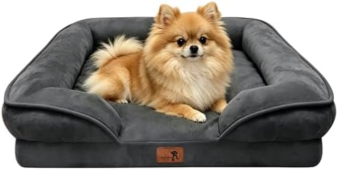 Spotted Play Orthopedic Dog Bed with Sides - Sofa Beds for Small Dogs, Supportive Foam Pet Couch Bed with Washable Removable Cover, Waterproof Lining and Non-Slip Bottom, Dark Grey - S by Spotted+Play