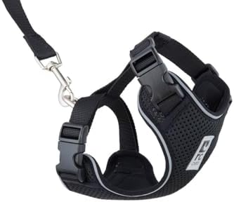 RC Pets Adventure Kitty Harness Includes Adjustable, Airmesh Fabric, 6' Leash and D-Ring Cat Walking Harness | Black, Medium by RCPets