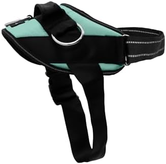 ShawnCo Essential Dog Harness, No-Pull Pet Vest (Seafoam,XS) by SHAWNCO