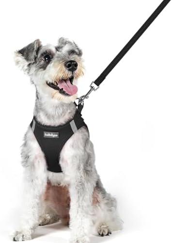 rabbitgoo Dog Harness Medium Sized and Leash Set, Step-in Puppy Pet Vest by rabbitgoo