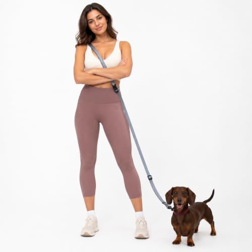 Kazazoo Hands-Free Dog Leash Adjustable Length 5-8 Ft, Waist for Dog Walking, Running for Small &Medium Dogs with Reflective Strips, Ballistic Nylon, Waist Belt, Grey by Kazazoo