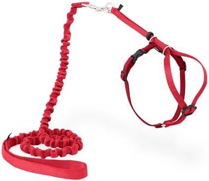 PetSafe Come With Me Kitty Harness and Bungee Leash, Harness for Cats, Small, Red/Cranberry, CWMK-S-RED by PetSafe