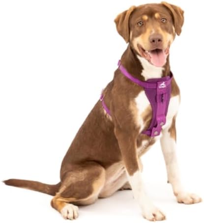 Kurgo Enhanced Strength Tru-Fit Smart Harness, Deep Violet, Medium - Image 3