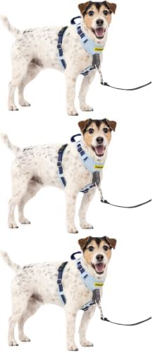 PetSafe Easy Walk Comfort No-Pull Dog Harness Full-Body Padding - Better Walks on The First Use - 5 Points of Adjustment Small/Medium, Blue (Pack of 3) by PetSafe