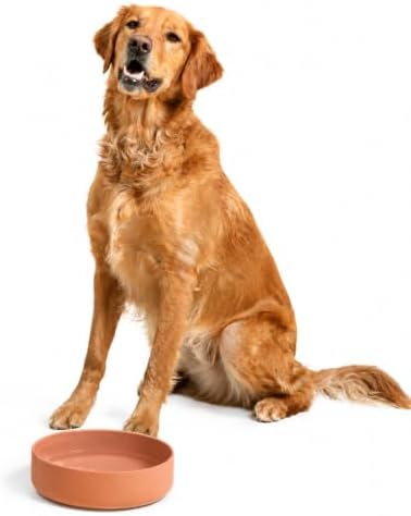 The Perfect Dish - Silicone Dog Bowl for Food & Water, 9.5"x2.5"-Terracotta by ShouldWeGo