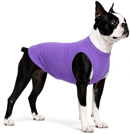 Pet Clothes Dog Clothing Blank T-Shirt Tanks Top Vests for Small Middle Large Size Dogs 100% Cotton Dog Summer Vest Classic (XL, Purple) by lovelonglong