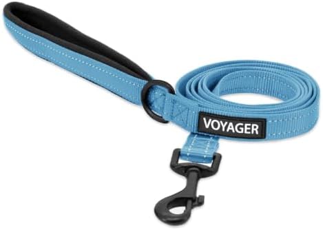 Best Pet Supplies Voyager Nylon Dog Leash - Sky Blue, Medium by BestPetSuppliesLLC