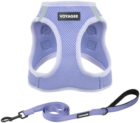 Best Pet Supplies Voyager Step-in Air All Weather Mesh Harness and Reflective Dog 5ft Leash Combo with Neoprene Handle, for Small, Medium and Large Breed Puppies - Lavender, L by BestPetSuppliesLLC