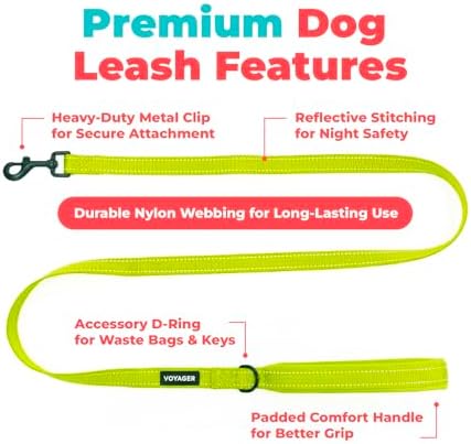 Best Pet Supplies Voyager Nylon Dog Leash - Lime Green, Large - Image 2