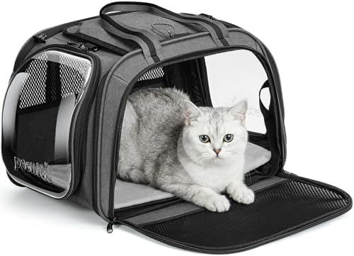 Pecute Cat Carrier,Double Bubble Pet Carrier for Cat Small Dogs,Gray M by pecute