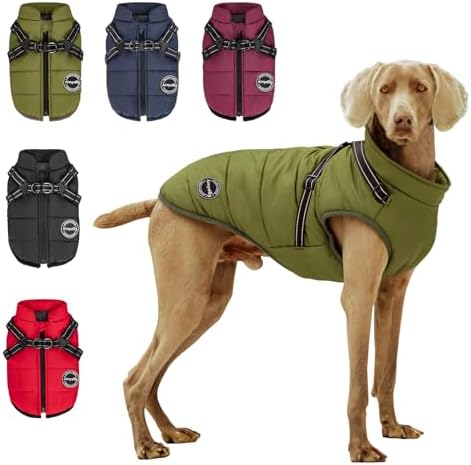 Warm Dog Winter Coat, Fashion Pet Cold Weather Jacket with Built-in Harness, Reflective & Adjustable Comfortable Pet Vest, Windproof Apparel for Small Medium Large Dogs (Green) by Aimydog