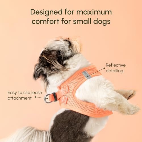 Downtown Pet Supply Pastel Tangerine X-Small Step-In Harness For Small Dogs - Adjustable By Downtown Pet Supply - Image 3