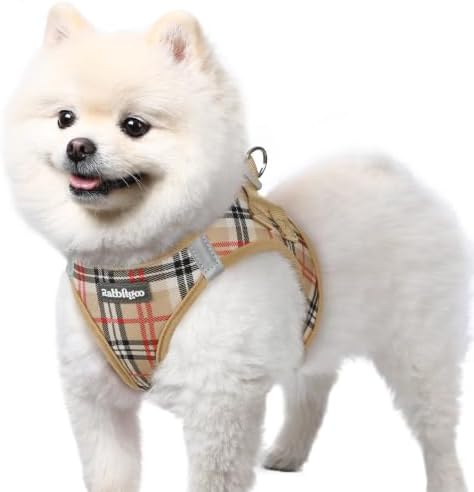 rabbitgoo Step-in Small Dog Harness, Puppy Vest for Small Sized Pet by rabbitgoo