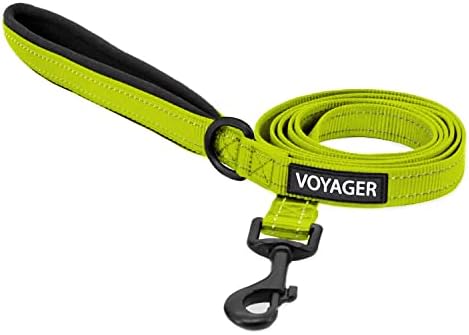 Best Pet Supplies Voyager Nylon Dog Leash - Lime Green, Large by BestPetSuppliesLLC