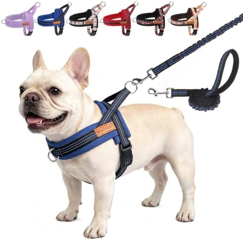 BEAUTYZOO Dog Harness Medium Sized and Leash Set, No Pull Step in Pet Vest by BEAUTYZOO