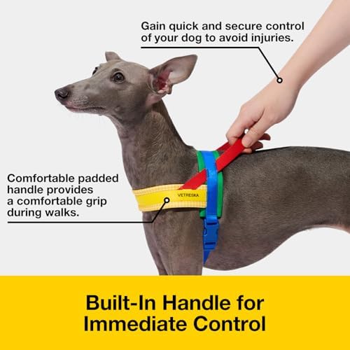 VETRESKA MoMA Dog Harness and Leash Set, Easy Walk Dog Harness, Yellow XS - Image 2