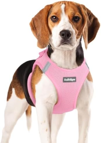 rabbitgoo Step-in Small Dog Harness, Puppy Vest for Small Medium Sized Pet by rabbitgoo