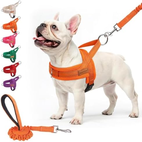 BEAUTYZOO Dog Harness Medium Sized and Leash Set, No Pull Step in Pet Vest by BEAUTYZOO