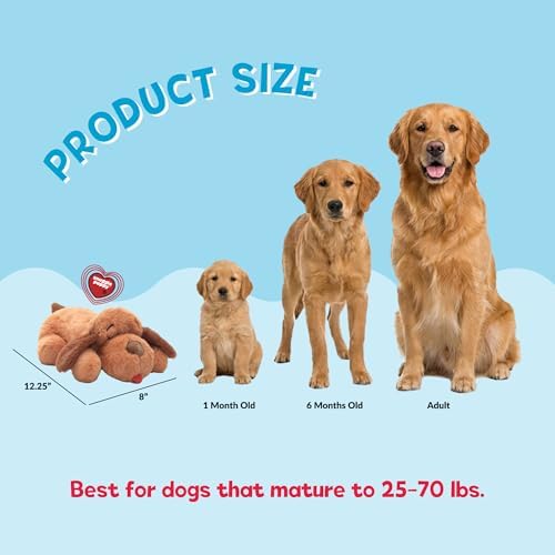 Snuggle Puppy Heartbeat Toy, Calming Comfort, Medium Breeds - Biscuit - Image 3