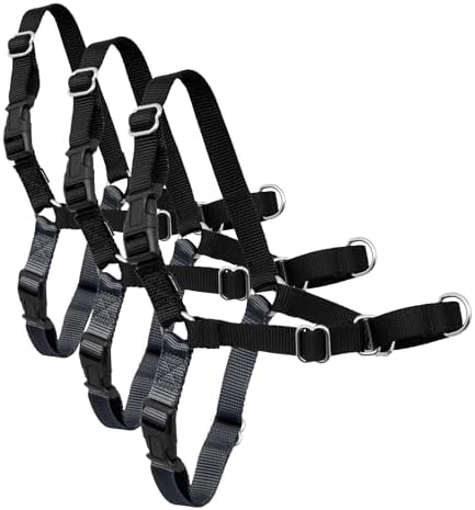 PetSafe Easy Walk Harness for Dogs - Pull-Free Walks - Patented Martingale LoopDesign-Front Chest Leash Attachment - Comfort Straps-Breathable Harness Design-Small,Charcoal/Black (Pack of 3) by PetSafe