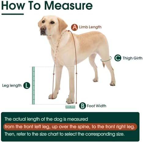 Dog Suspender Boots, Anti-Slip & Fall Waterproof Dog Shoes Leggings, Dog Paw Protector for Small Medium Dogs, Adjustable Dog Boots Pet Shoes for Outdoor Walking - Image 2