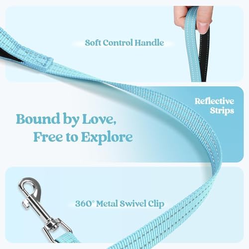 rabbitgoo Dog Harness Small Sized and Leash Set, Step-in Puppy Pet Vest - Image 6