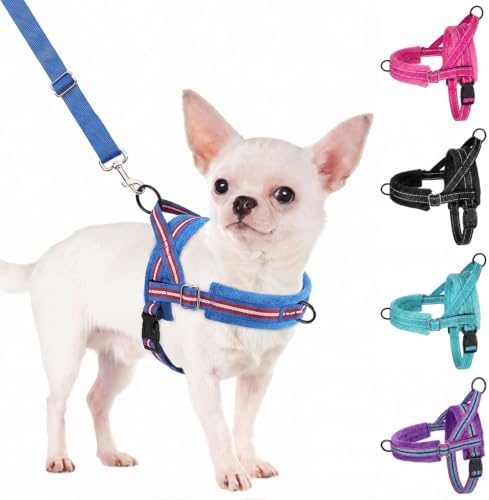 SlowTon No Pull Small Dog Harness and Leash Set with Front Clip by SlowTon