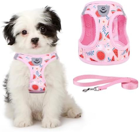 KOOLTAIL Dog Harness and Leash Set for Small Medium Dogs, Step in No Pull Soft Mesh Dog Harness Comfort Padded Pet Vest, Adjustable Reflective Easy Walking Puppy Cats Harness Training, Watermelon S by KOOLTAIL
