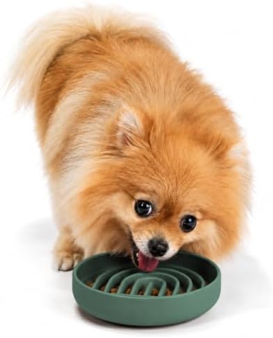 Slow Feeder Dog Bowl - Silicone Dog Bowl, Small, 6" x 1.25" - Spruce by ShouldWeGo