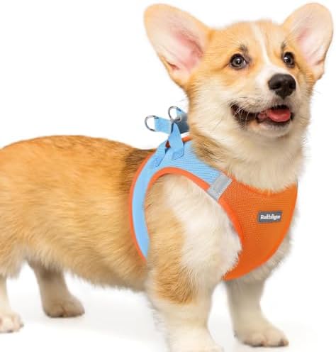 rabbitgoo Step-in Small Dog Harness, Puppy Vest for Small Medium Sized Pet by rabbitgoo