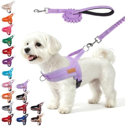 BEAUTYZOO Small Dog Harness and Leash Set, No Pull Step in Puppy Vest by BEAUTYZOO