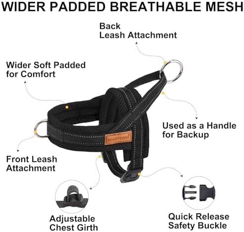 BEAUTYZOO Dog Harness for Large Dogs,No Pull Step in Pet Vest and Leash Set - Image 4