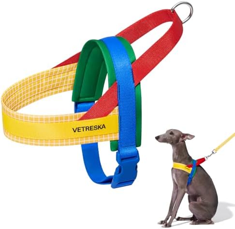 VETRESKA MoMA Dog Harness and Leash Set, Easy Walk Dog Harness (Yellow, L) - Image 6
